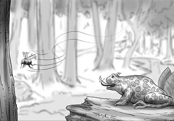 Paul Binkley's Wildlife / Animals storyboard art