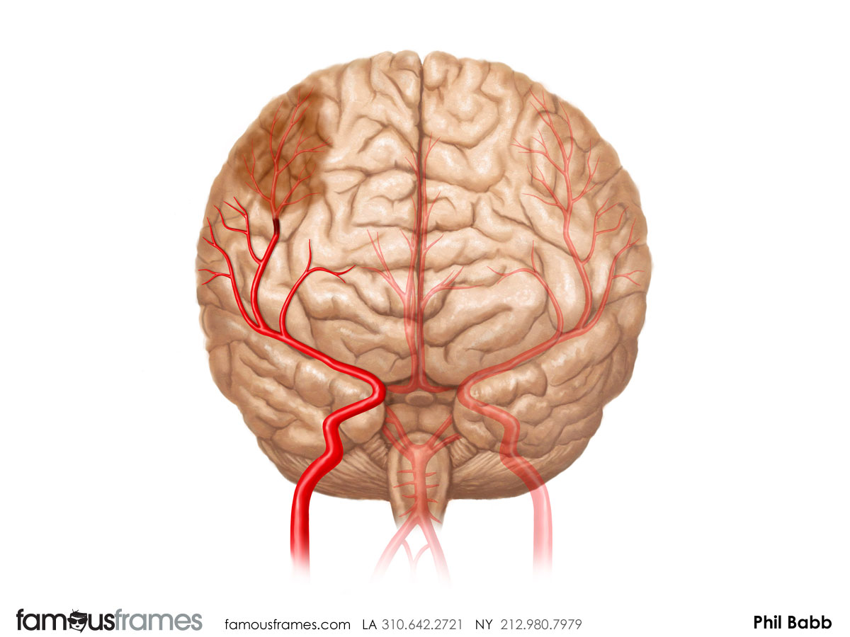 Phil Babb's Pharma / Medical storyboard art (Image #112_43_1364833639)