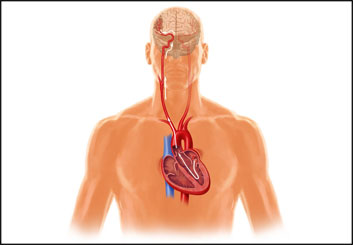 Phil Babb's Pharma / Medical storyboard art