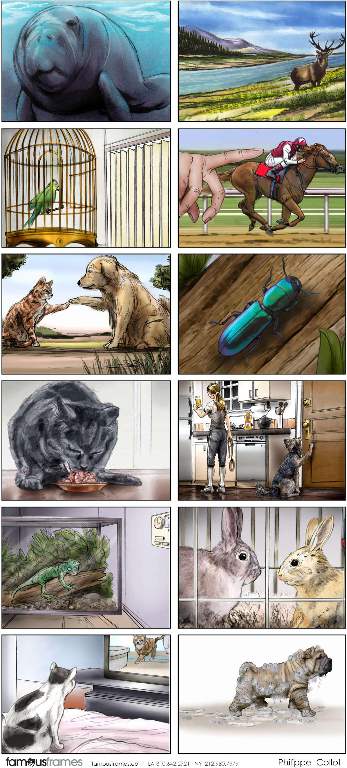 Philippe Collot*'s Wildlife / Animals storyboard art (Image #113_6_1494615959)