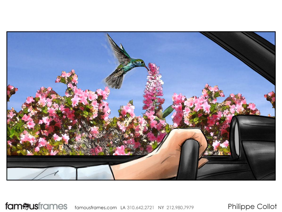 Philippe Collot*'s Wildlife / Animals storyboard art (Image #113_6_1532045842)