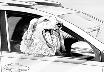 Robert Kalafut*'s Wildlife / Animals storyboard art