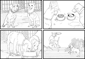 Jingjing Cao's Wildlife / Animals storyboard art