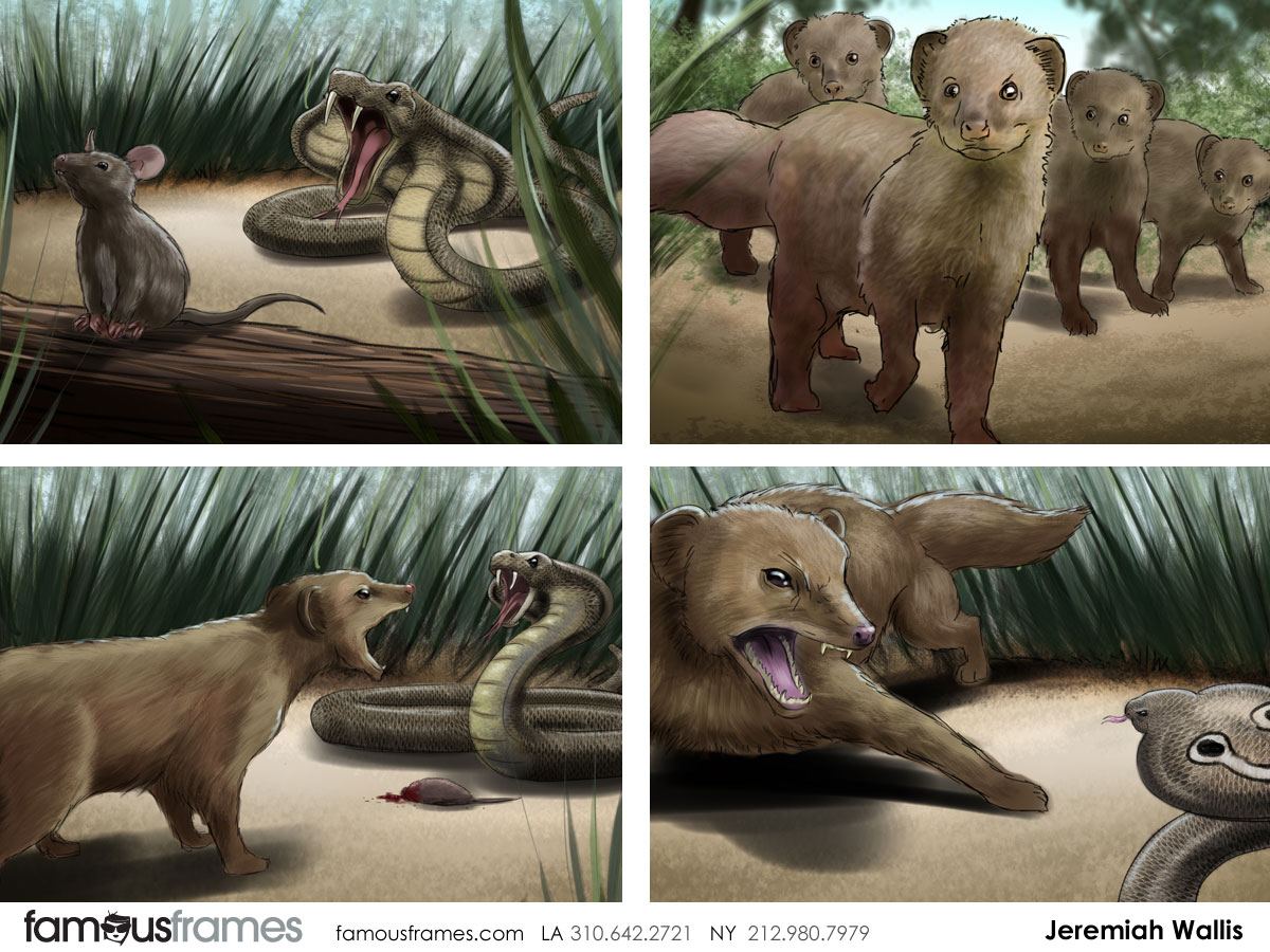 Jeremiah Wallis's Wildlife / Animals storyboard art (Image #223_6_1375225952)