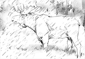 Jeff Norwell's Wildlife / Animals storyboard art