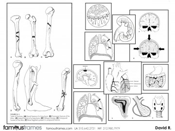 David Reuss's Illustration storyboard art