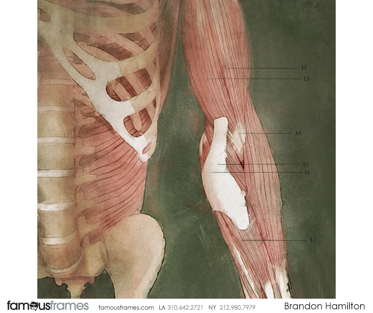 Brandon Hamilton's Pharma / Medical storyboard art (Image #5524_43_1496353881)