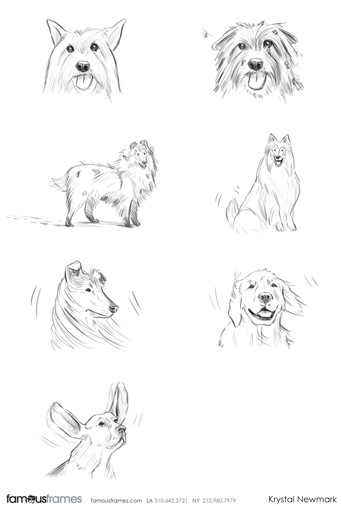 Krystal Newmark's Wildlife / Animals storyboard art (Image #5666_6_1485217402)