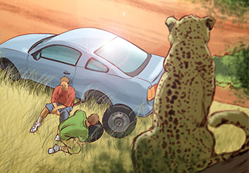 Angus Cameron's Wildlife / Animals storyboard art