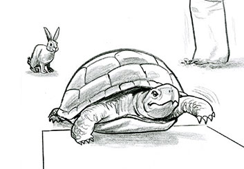 Al Evcimen's Wildlife / Animals storyboard art