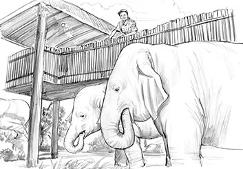 Al Evcimen's Wildlife / Animals storyboard art