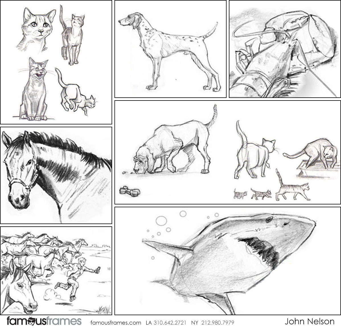 John Killian Nelson's Wildlife / Animals storyboard art (Image #75_6_1559341665)