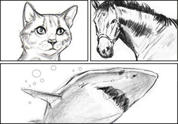 John Killian Nelson's Wildlife / Animals storyboard art