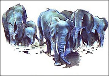 John Killian Nelson's Wildlife / Animals storyboard art