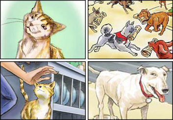 John Killian Nelson's Wildlife / Animals storyboard art