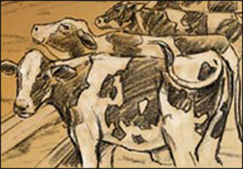 John Killian Nelson's Wildlife / Animals storyboard art